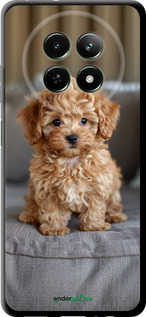 TPU чехол Mini-maltipoo для Realme Realme 13 5G - 6158b-3916 изображение 