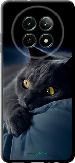 TPU чехол 'Дымчатый кот' для Realme Realme 13 5G изображение 2