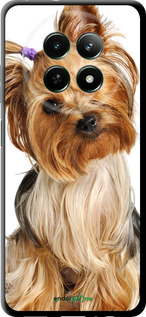 TPU чехол Йоркширский терьер с хвостиком для Realme Realme 12 5G - 930b-3705 изображение 