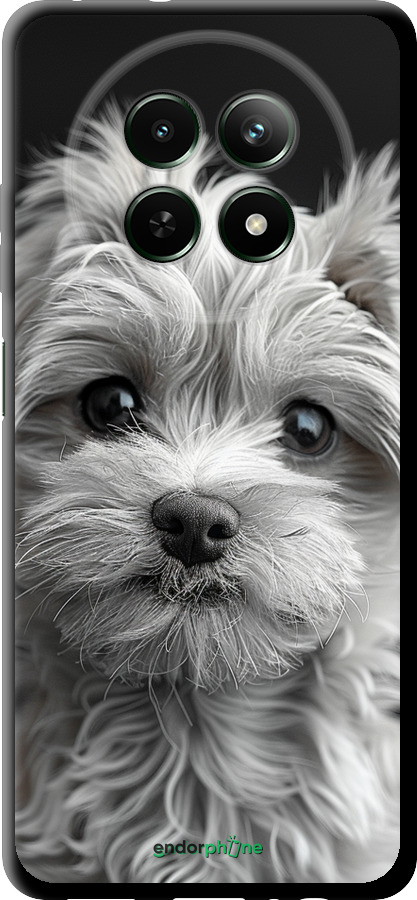 TPU чехол Мальтипу на чорному фоні для Realme Realme 12 5G - 6156b-3705 изображение 