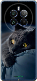 Силиконовый чехол Дымчатый кот для Realme Realme 12 Pro - 825u-3649 изображение 