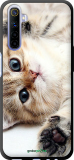 TPU чехол Котик для Realme 6 - 6024b-1913 изображение 