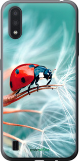 2D пластиковий чехол Сонечко для Samsung Galaxy A01 A015F - 6049t-1842 изображение 