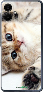 Силиконовый чехол Котик для Samsung Galaxy A06 4G - 6024u-3776 изображение 