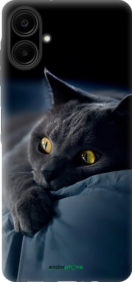 Силіконовий чехол Димчастий кіт для Samsung Galaxy A06 4G - 825u-3776 изображение 