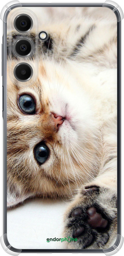 Силикон с усиленными углами чехол Котик для Samsung Galaxy A16 - 6024sp-3775 изображение 