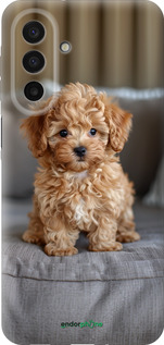 Силиконовый чехол Mini-maltipoo для Samsung Galaxy A17 - 6158u-4060 изображение 