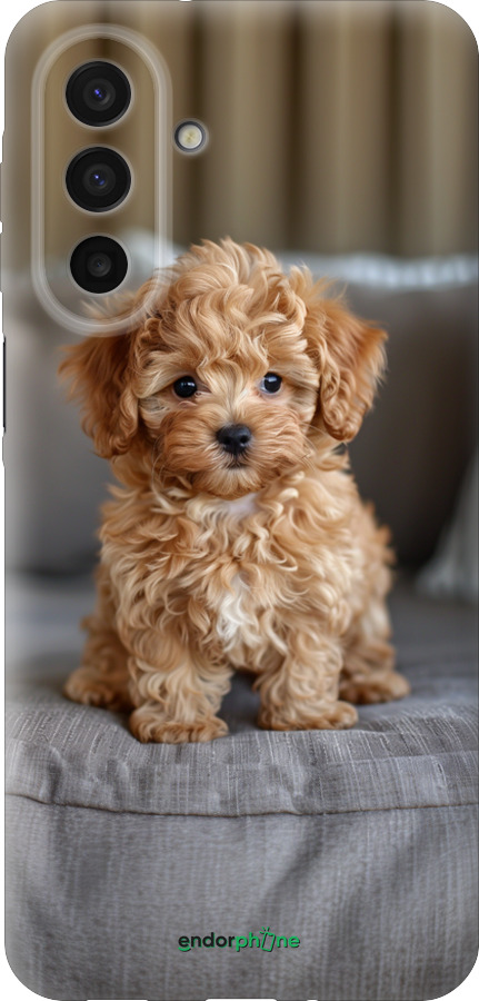 Силиконовый чехол Mini-maltipoo для Samsung Galaxy A17 - 6158u-4060 изображение 