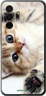 Силиконовый чехол Котик для Samsung Galaxy A26 - 6024u-3881 изображение 
