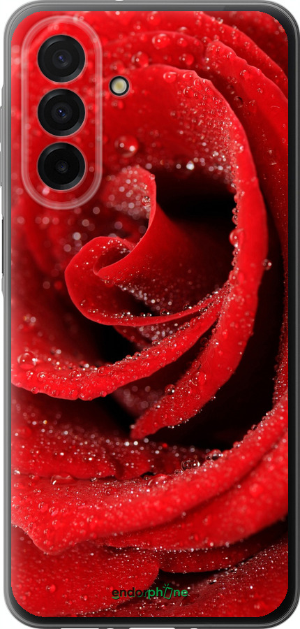 Силиконовый чехол Красная роза для Samsung Galaxy A26 - 529u-3881 изображение 