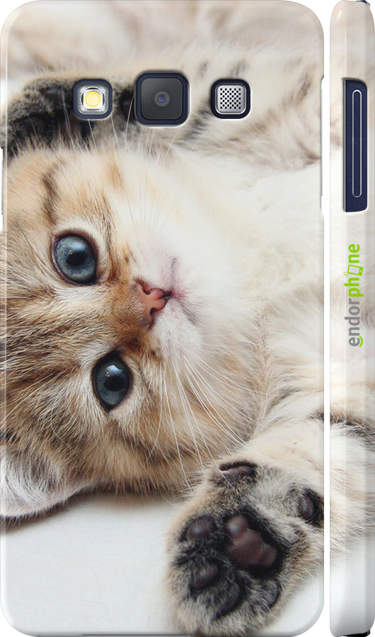 3D пластиковый матовый чехол Котик для Samsung Galaxy A3 A300H - 6024m-72 изображение 