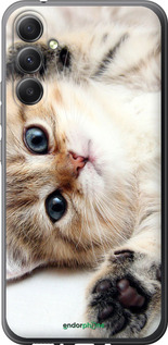 Силіконовий чехол Котик для Samsung Galaxy A34 A346E - 6024u-2936 изображение 