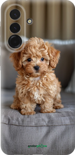 Силиконовый чехол Mini-maltipoo для Samsung Galaxy A36 - 6158u-3836 изображение 