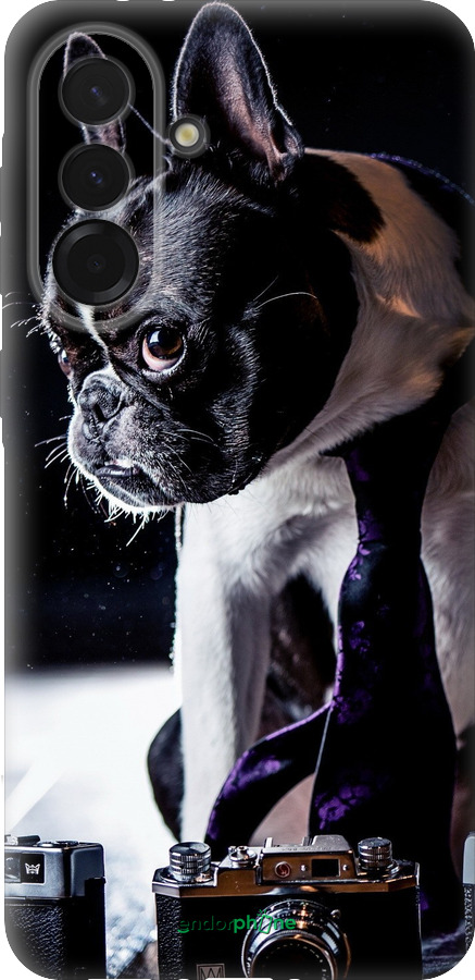 Силіконовий чехол Бульдог-фотограф для Samsung Galaxy A36 - 142u-3836 изображение 
