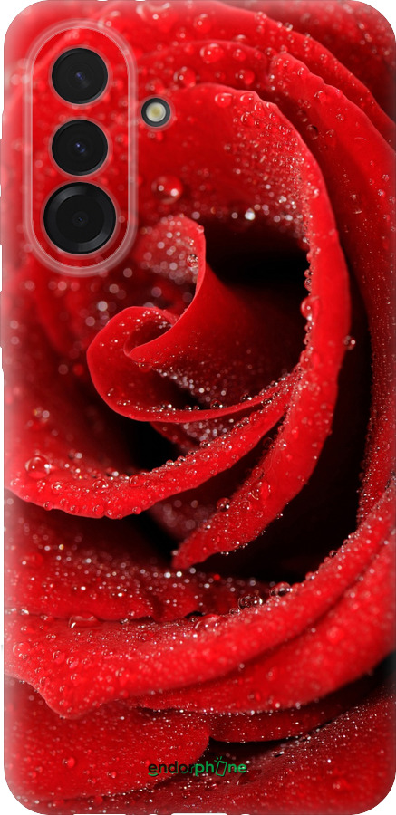 Силиконовый чехол Красная роза для Samsung Galaxy A36 - 529u-3836 изображение 