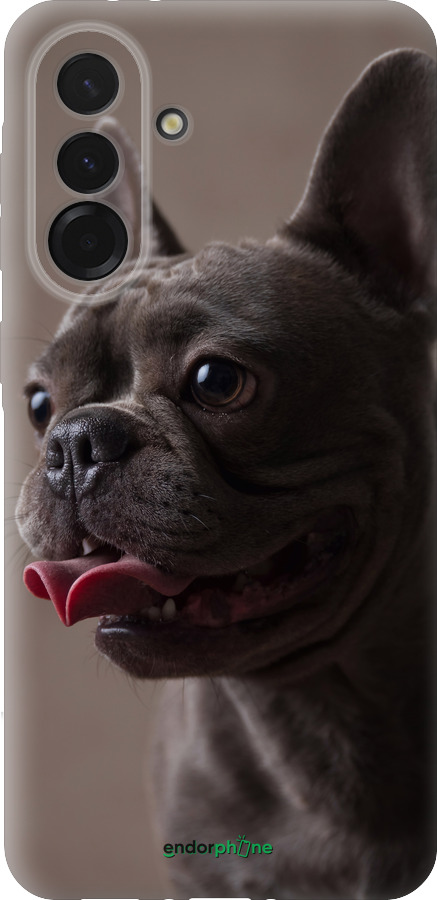 Силиконовый чехол Милый бульдог для Samsung Galaxy A36 - 5546u-3836 изображение 