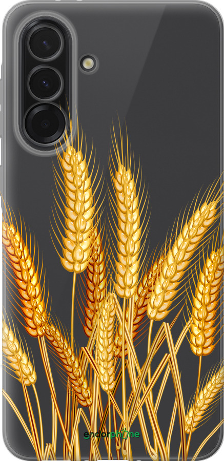 Силиконовый чехол Колоски пшеници для Samsung Galaxy A36 - 5866u-3836 изображение 