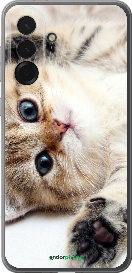 Силиконовый чехол Котик для Samsung Galaxy A36 - 6024u-3836 изображение 