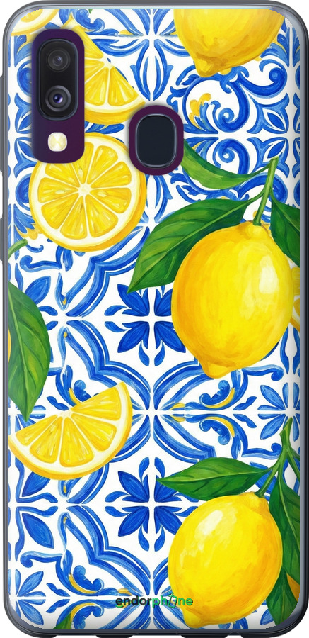 2D пластиковый чехол Grocery Girl Italian Summer для Samsung Galaxy A40 2019 A405F - 6766t-1672 изображение 