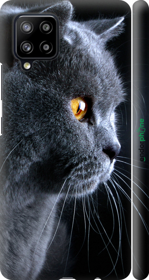 

3D пластиковий матовий чохол "Гарний кіт" для Samsung Galaxy A42 A426B, Чорний
