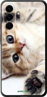 TPU чехол Котик для Samsung Galaxy A56 - 6024b-3882 изображение 