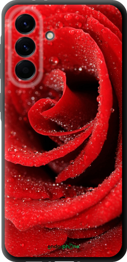 TPU чехол Красная роза для Samsung Galaxy A56 - 529b-3882 изображение 