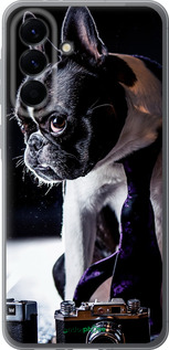 Силиконовый чехол Бульдог-фотограф для Samsung Galaxy A56 - 142u-3882 изображение 