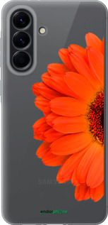 Силіконовий чехол Гербера 1 для Samsung Galaxy A56 - 4534u-3882 изображение 