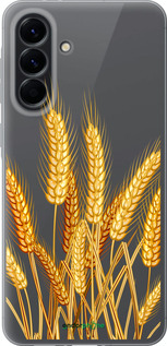 Силіконовий чехол Колоски пшениці для Samsung Galaxy A56 - 5866u-3882 изображение 