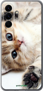 Силиконовый чехол Котик для Samsung Galaxy A56 - 6024u-3882 изображение 