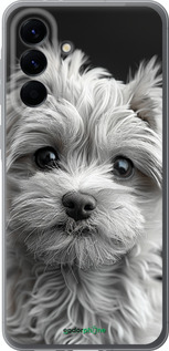 Силиконовый чехол Мальтипу на чорном фоне для Samsung Galaxy A56 - 6156u-3882 изображение 