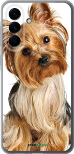 Силиконовый чехол Йоркширский терьер с хвостиком для Samsung Galaxy A56 - 930u-3882 изображение 