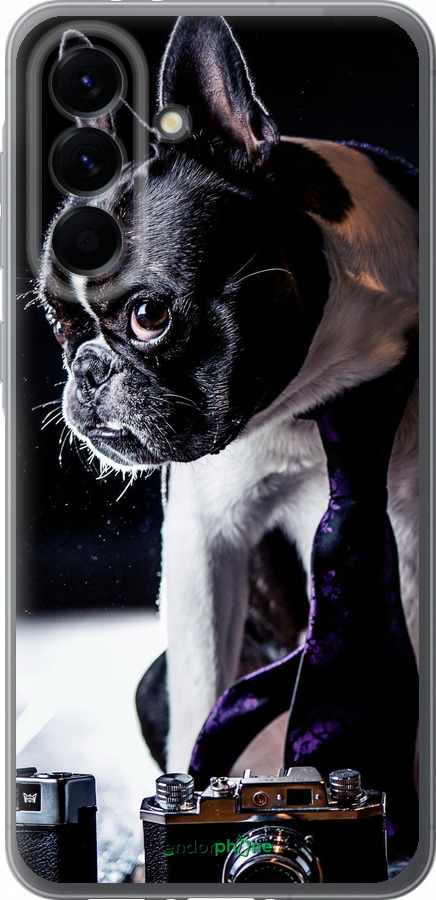 Силиконовый чехол Бульдог-фотограф для Samsung Galaxy A56 - 142u-3882 изображение 