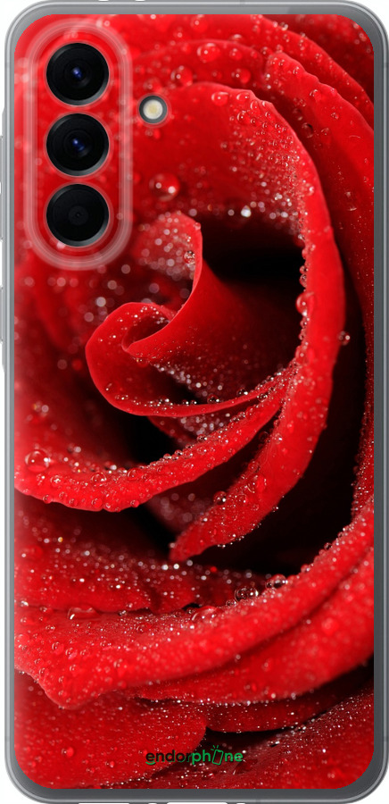 Силіконовий чехол Червона троянда для Samsung Galaxy A56 - 529u-3882 изображение 