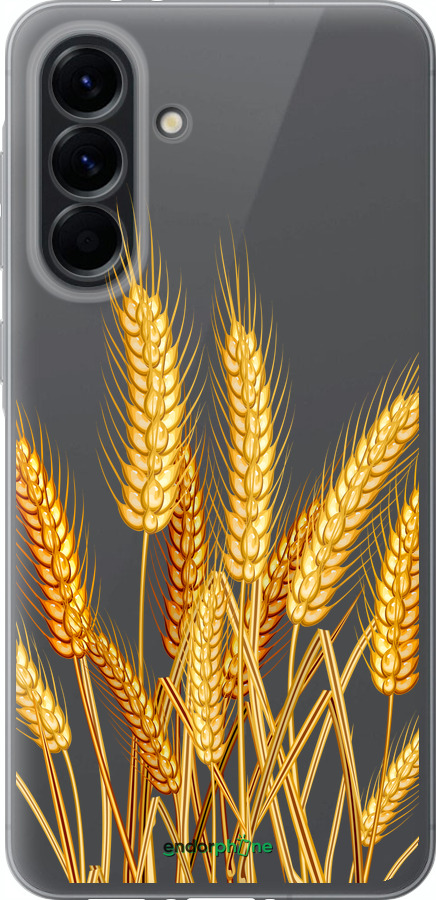 Силіконовий чехол Колоски пшениці для Samsung Galaxy A56 - 5866u-3882 изображение 