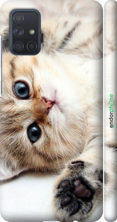 3D пластиковий матовий чехол Котик для Samsung Galaxy A71 2020 A715F - 6024m-1826 изображение 