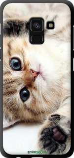 TPU чехол Котик для Samsung Galaxy A8 2018 A530F - 6024b-1344 изображение 