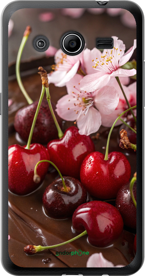 Силіконовий чехол Вишня у шоколаді для Samsung Galaxy Core 2 G355 - 6698u-75 изображение 