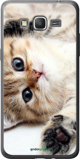 2D пластиковий чехол Котик для Samsung Galaxy J2 Prime - 6024t-466 изображение 
