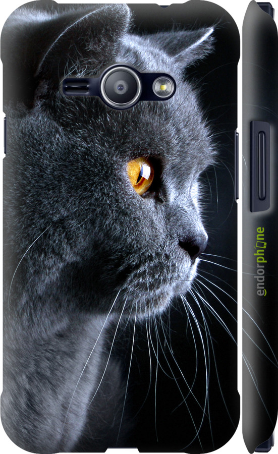 

3D пластиковий матовий чохол "Гарний кіт" для Samsung Galaxy J1 Ace J110H, Чорний