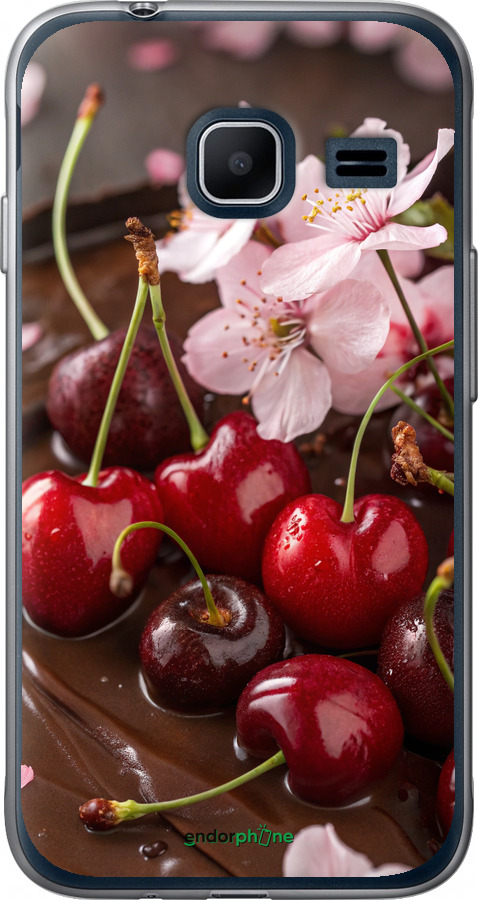 2D пластиковий чехол Вишня у шоколаді для Samsung Galaxy J1 Mini J105H - 6698t-258 изображение 