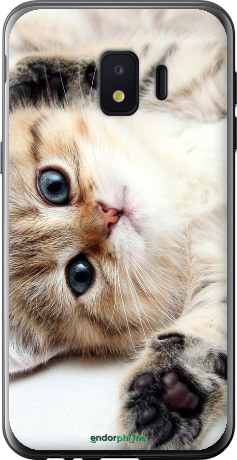 Силиконовый чехол Котик для Samsung Galaxy J2 Core - 6024u-1565 изображение 