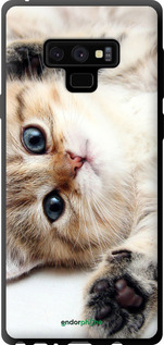 TPU чехол Котик для Samsung Galaxy Note 9 N960F - 6024b-1512 изображение 