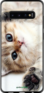 TPU чехол Котик для Samsung Galaxy S10 Plus - 6024b-1649 изображение 