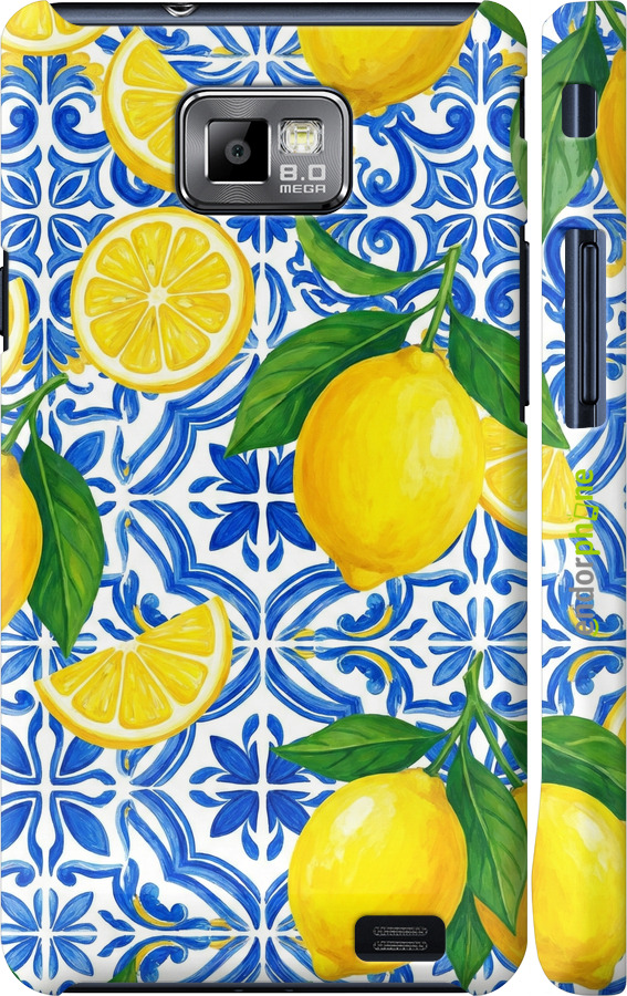 3D пластиковий матовий чехол Grocery Girl Italian Summer для Samsung Galaxy S2 i9100 - 6766m-14 изображение 