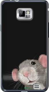 Силиконовый чехол The Peeking Rat для Samsung Galaxy S2 i9100 - 6442u-14 изображение 