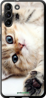 TPU чехол Котик для Samsung Galaxy S21 Plus - 6024b-2115 изображение 