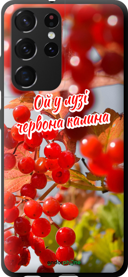 TPU чехол Калина для Samsung Galaxy S21 Ultra (5G) - 5454b-2116 изображение 