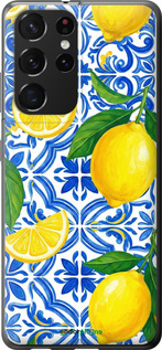 2D пластиковый чехол Grocery Girl Italian Summer для Samsung Galaxy S21 Ultra (5G) - 6766t-2116 изображение 