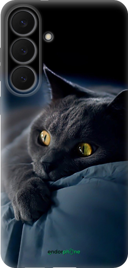 Силиконовый чехол Дымчатый кот для Samsung Galaxy S25 FE - 825u-4094 изображение 